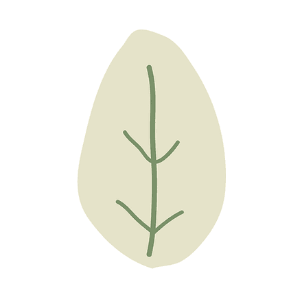 projekt bez nazwy 3 1